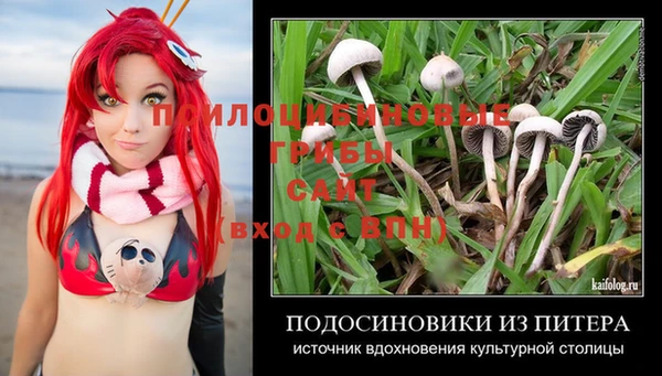 ГАЛЛЮЦИНОГЕННЫЕ ГРИБЫ Алексин