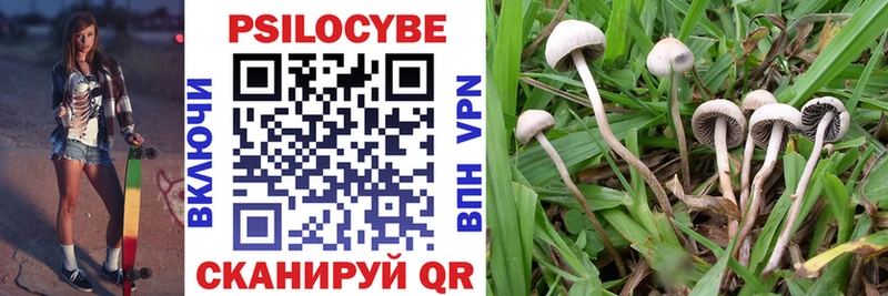 Псилоцибиновые грибы ЛСД  Красноуфимск 